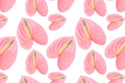 Pattern of a pink flower of different sizes on a white background.  Beautiful anthurium flower. Beautiful background for your design.