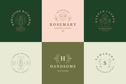 Botanical logos emblems design templates set with blossom flowers and rose vector illustrations minimal line art style. Outline symbols for cosmetics and packaging or floral products branding