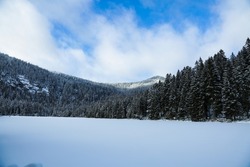 austrialarge Arbersee snow-covered in the Bavarian Forest,

snow, nature, landscape, forest, bavaria, europe, germany, sky, bavarian, travel, alpine, alps, tourism, trees, mountain, blue, , countrysid