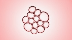 Macro shot of soap bubble cluster floating on pale pink background | Abstract cosmetics formulating concept