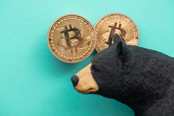 Bitcoin cryptocurrency coin with a grizzly bear. Bearish bitcoin trading