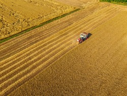 Harvesters work on the farm. Combine harvester agricultural machine is harvesting golden ripe wheat field. Agricultural scene. Aerial view from above.