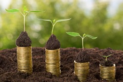 Golden coins in soil with young plant isolated. Money growth concept.