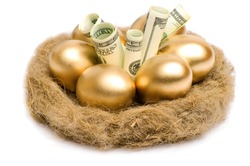 Golden eggs and dollars on a nest isolated on white background