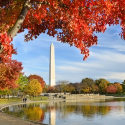 Washington DC - Washington Monument from Constitution Gardens in Autumn 