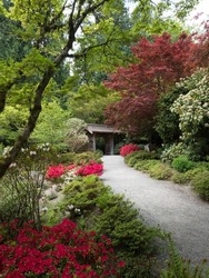 Springtime on the grounds of Yao Japanese Garden, part of Bellevue Botanical Garden - WA, USA