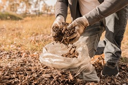 hands of man in gardening gloves show quality of rotted compost on compost heap. Organic waste compost for soil enrichment. use of recycled organic matter as organic mulch in horticulture