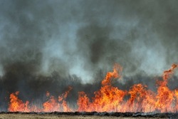 A controlled fire  burn of a prairie, as seen conducted by Forestry in Saint Louis, Missouri, USA.  Managed fires stimulate new grass growth and removes unwanted and invasive species.   