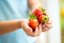 Handful of strawberries in the hands of a child.