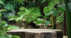 Table top wood counter floor podium in nature outdoors tropical forest garden blurred green jungle plant background.natural product present placement pedestal stand display,spring or summer concept.