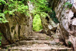 Scenic stone stairs leading up to gate in rocks among green foliage. Way to enigmatic tropical woods. Forest in summer season.