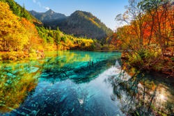 Fantastic view of the Five Flower Lake (Multicolored Lake) with azure water among fall woods in Jiuzhaigou nature reserve (Jiuzhai Valley National Park), China. Submerged tree trunks at the bottom.