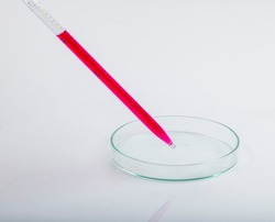 Laboratory pipette with drop of red liquid over Petri dishes with red biological analysis solution contaminated by infectious bacteria growth for a biotechnology experiment in a science research lab.