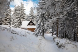 Piękna zima w górach Gorcach- świeży śnieg utworzył niesamowity krajobraz. Beskidy, Polska.