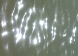 glare on water in city park pond at dry sunny summer day