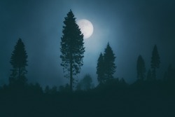 full moon on dark spooky forest at the night