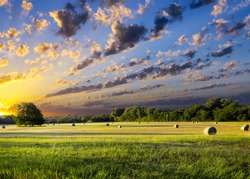 Tranquil Texas meadow at sunrise with hay bales strewn across the landscape
