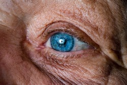 Close up, macro photo of a senior female blue color eyes, iris, pupil, eye lashes, eye lids.