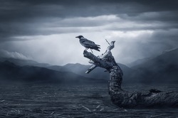 Black raven in moonlight perched on tree. Scary, creepy, gothic setting. Cloudy night. Halloween