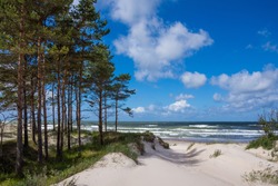 Baltic sea shore in Latvia. Sand dunes with pine trees and clouds. Typical Baltic beach landscape