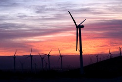 Wind power generating mills in the desert supply clean, renewable energy.