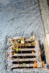A grid/drain in the UK showing heavy rain draining away with debris
