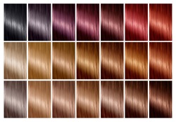 Color chart for hair dye. Hair color palette with a wide range of swatches showing color samples arranged on a card in neat rows. Tints. Hair colour set. Diferent colours. 