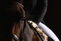 Dressage horse with rider in LowKey technique, close-up of the horse's head in the eye cutout, but you can still see a section of the rider in the focus. Right side still space for text.