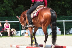 Western horse with rider on the skill trail with wooden poles, photo from behind.