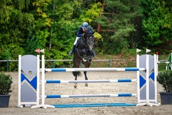 Jumping horse and rider jumping over a moat in M ​​jumping.