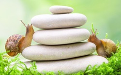 Two snails climbing on a stack of pebbles. Competition and challenge concept metaphore