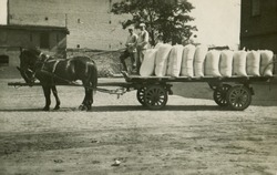 Vintage photo of horse drawn wagon transporting bags, forties
