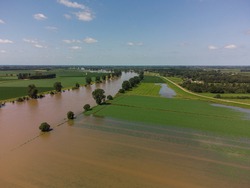 Flooded land and floodplains, drowned trees, river Maas village Appeltern