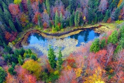 Wild Lake Dead (Polyanitske) near the Dovbush rocks, Bubnishche in autumn among a beautiful autumn forest in the Carpathians, Ukraine It has a high level of hydrogen sulfide. Aerial photo drone copter