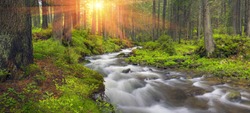 River at sunrise in the Carpathian forest - fast jet of water at slow shutter speeds give a beautiful fairy-tale effect. Ukraine is rich in water resources in the Carpathian Mountains is  good ecology