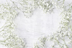 Background with tiny white flowers (gypsophila paniculata), blurred, selective focus