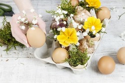 Florist at work: How to make simple easter floral arrangement with ordinary paper egg box, primula flowers, gypsophila paniculata twigs and moss. Step by step, tutorial.