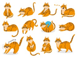 Cat poses. Cartoon red fat striped cats emotions and behavior. Animal pet kitten playful, sleeping and scared. Cat body language vector set. Illustration pet cat, cute striped animal kitten