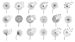 Blowing dandelion seeds. Silhouettes of fluffy wish flowers, spring blossom dandelions blown by wind. Nature floral logo design vector set. Flying various plant buds isolated on white