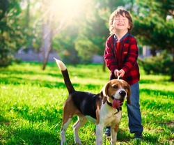 Beautiful little brunet hair boy, has fun smile face, happy eyes, dressed blue jeans, red plaid shirt. Plays with dog beagle. Child and animals portrait. Creative concept. Summer time.