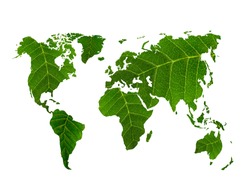 eco world map made of green leaves, concept ecology 