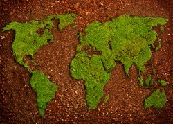 grass in shape of world map  in soil, green earth concept  