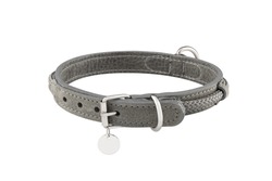 dog collar isolated on the white background