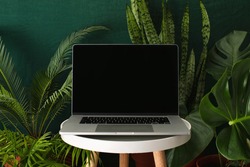 Working at home garden, laptop surrounded with green leafy potted plants, front view of the screen, blank space for a text