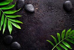 Dark spa background, moisturizing concept, palm leaves and black stones on a dark wet surface, top view