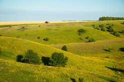 Scenic farmlands landscape with lush green pasture hills and golden canola in bloom. High quality photo