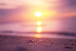 Beautiful beach with sunrise background. Focus on sea shell.