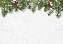 Christmas background with holly,firtree