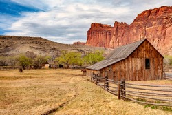 Fruita is currently the heart and administrative center of Capitol Reef National Park, Utah. Fruita was established in 1880 by a group of Mormons led by Nels Johnson, under the name 