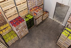 Apples and pears in crates ready for shipping. Cold storage interior.